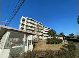 JR東海道・山陽本線 島本駅 徒歩21分 5階建 築47年