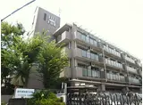 JR東海道・山陽本線 高槻駅 徒歩10分 4階建 築30年