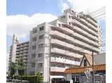 京阪本線 淀駅 徒歩18分 11階建 築34年