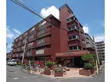 京阪本線 龍谷大前深草駅 徒歩8分 5階建 築43年