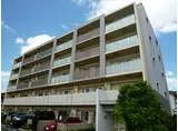 阪神本線 鳴尾・武庫川女子大前駅 徒歩5分 5階建 築14年