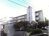 神戸新交通六甲アイランド線 南魚崎駅 徒歩5分 4階建 築37年