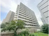 大阪メトロ御堂筋線 江坂駅 徒歩10分 13階建 築7年