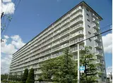 JR東西線 御幣島駅 徒歩5分 11階建 築37年