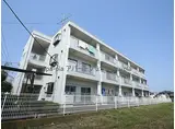 パレス川越