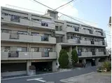 東京メトロ丸ノ内線 中野富士見町駅 徒歩9分 3階建 築35年