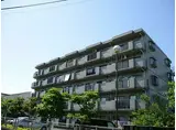 東武伊勢崎線 新田駅(埼玉) 徒歩18分 5階建 築30年