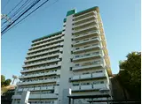 都営三田線 志村坂上駅 徒歩6分 13階建 築50年