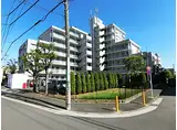 西武国分寺線 恋ケ窪駅 徒歩7分 8階建 築36年