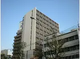 神戸市西神・山手線 湊川公園駅 徒歩3分 12階建 築16年