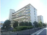 京阪宇治線 木幡駅(ＪＲ) 徒歩13分 7階建 築42年
