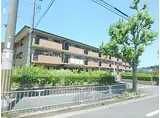 京都地下鉄東西線 醍醐駅(京都) 徒歩13分 3階建 築30年