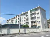 京都地下鉄東西線 石田駅(京都市営) 徒歩12分 5階建 築55年