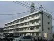JR仙石線 榴ケ岡駅 徒歩11分  築42年(3DK/2階)