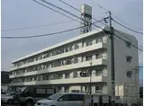 JR仙石線 榴ケ岡駅 徒歩11分 4階建 築42年