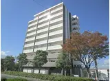 JR東海道・山陽本線 草津駅(滋賀) 徒歩15分 10階建 築1年