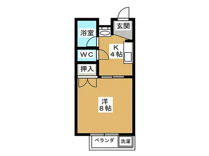 ホワイトピア岩崎(1K/1階)の間取り写真