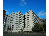 JR山陰本線 丹波口駅 徒歩2分 11階建 築34年
