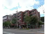 京阪本線 神宮丸太町駅 徒歩20分 5階建 築44年