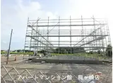コージー フラットII