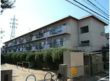近鉄京都線 向島駅 徒歩7分 3階建 築49年