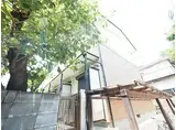 ハイムキギ