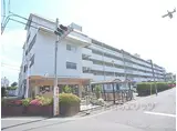 京阪本線 藤森駅 徒歩10分 5階建 築48年