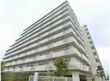 JR東海道・山陽本線 野洲駅 徒歩6分 10階建 築29年