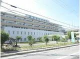JR東海道・山陽本線 南彦根駅 徒歩28分 2階建 築12年