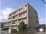 阪急嵐山線 上桂駅 徒歩14分 4階建 築29年