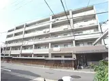阪急京都本線 桂駅 徒歩14分 5階建 築29年