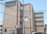 阪急京都本線 桂駅 徒歩7分 5階建 築16年