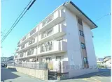 JR東海道・山陽本線 野洲駅 徒歩13分 4階建 築38年