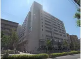 阪急京都本線 西院駅(阪急) 徒歩10分 10階建 築50年