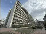 京都地下鉄東西線 東野駅(京都) 徒歩15分 11階建 築53年