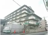 京阪本線 墨染駅 徒歩5分 7階建 築43年