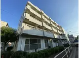 都営三田線 西台駅 徒歩5分 5階建 築38年