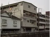 大阪メトロ千日前線 今里駅(大阪メトロ) 徒歩7分 4階建 築55年