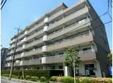 JR京浜東北・根岸線 南浦和駅 徒歩16分 6階建 築28年