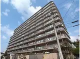 JR東海道・山陽本線 明石駅 徒歩5分 11階建 築45年