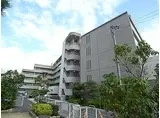 阪急伊丹線 新伊丹駅 徒歩7分 6階建 築25年