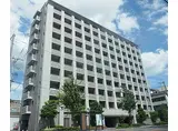 JR東海道・山陽本線 西大路駅 徒歩10分 10階建 築24年