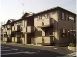 SAKURA GARDEN A