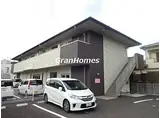 チェリーブロッサム