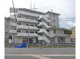 阪急京都本線 西京極駅 徒歩20分 5階建 築39年