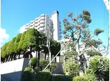 京成本線 海神駅 徒歩15分 12階建 築33年