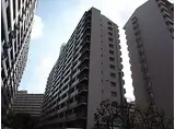 神戸新交通ポートアイランド線 中公園駅 徒歩5分 14階建 築42年