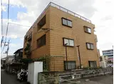3匹のKOBUTA