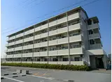 近江鉄道近江本線 愛知川駅 徒歩15分 5階建 築27年