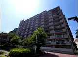 JR総武本線 東千葉駅 徒歩20分 11階建 築26年